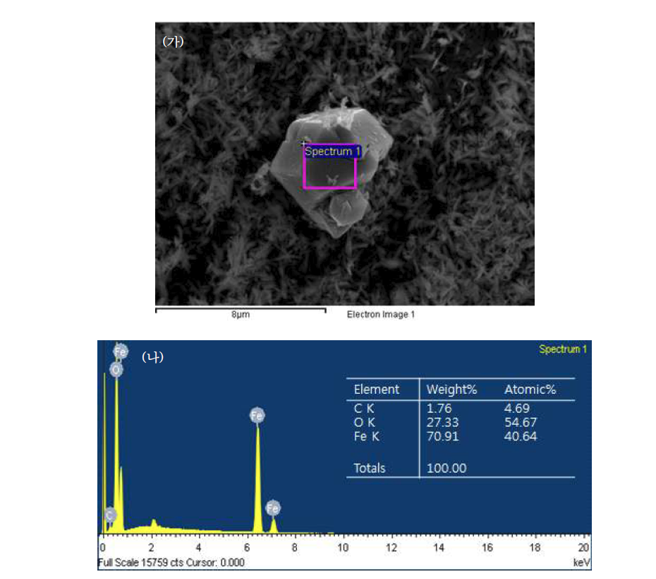 (가) 침철석으로부터 용출된 철 이온에 의해 형성된 자철석의 전 자현미경 이미지와 (나) SEM-EDS 분석결과