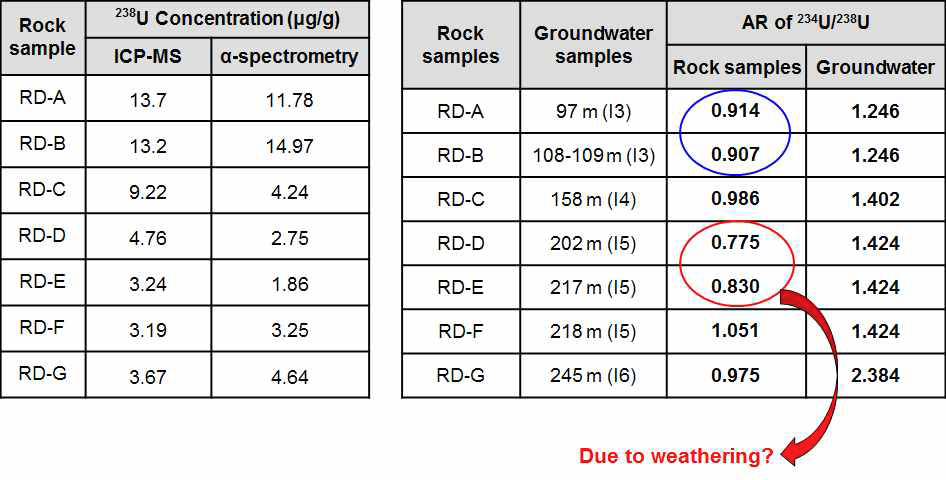 KURT DB-1 시추공의 지하수와 암석의 우라늄 동위원소 분석결 과 비교
