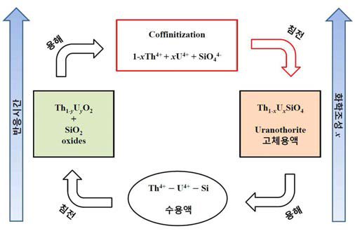 우라늄-토륨 고체용액 uranothorite, (U,Th)SiO4 형성 메커니즘 도식도