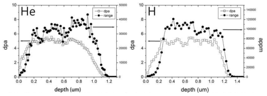 He 과 H 이온조사에 의한 조사손상량 및 주입량 계산 결과