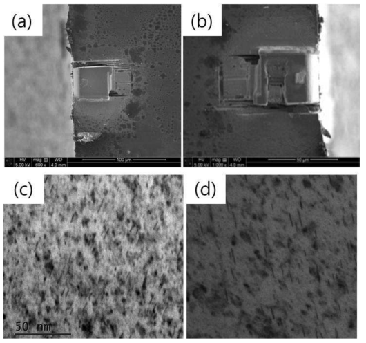 (a) 이온조사후 미세시편 (b) TEM 시편 샘플링 후의 미세시편 상태 (c) 미세시편에서 관찰되는 조사결함 (d) 벌크시편에서 관찰되는 조사결함