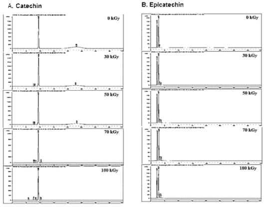 HPLC Chromatogram of irradiated Catechin and Epicatechin (1 mg/mL) solubilized in ethanol