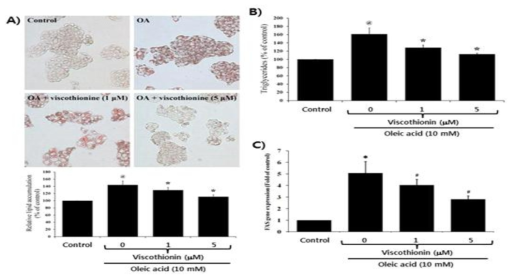 Inhibition of Mistletoe Viscothionin on oleic acid-induced lipid accumulation of human liver carcinoma HepG2 cells