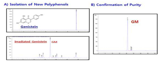 Isolation of New Radiation-induced product from Genistein irradaited in methanol and confirmation of single isolated product using Preparative and analyticla HPLCs