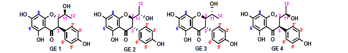 Suggested structure of GE 1~4