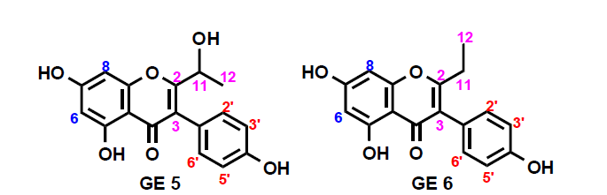 Suggested structure of GE 5~6