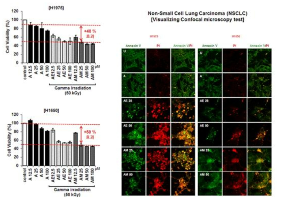 Cytotoxic effect and apoptosis of non-irradiated Apigenin (A) or gamma-irradiated Apigenin in methanol (AM) and ethanol (AE) on the visualizing Confocal microscopy test of H1975 and H1650