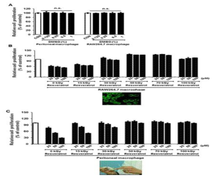 Proliferative effect of dimethyl sulfoxide (DMSO), intact-resveratrol, and gamma-irradiated resveratrol on LPS-induced RAW264.7 & peritoneal macrophage cells