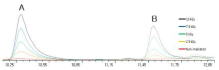 감마선 조사된 계육의 2-dDCB(A)와 2-tDCB(B) GC-MS 분석 크로마토그램