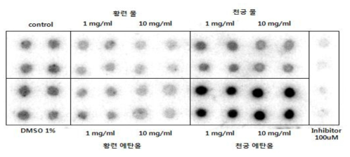 Inhibition effect of plant extract concentration on protein kinase C assay