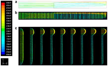 Velocity vectors and streamlines for small bypass (a) streamlines, (b) velocity vector, (c) partially enlarged view of the velocity vectors.