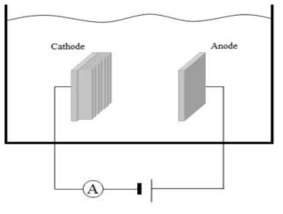 Experimental apparatus.