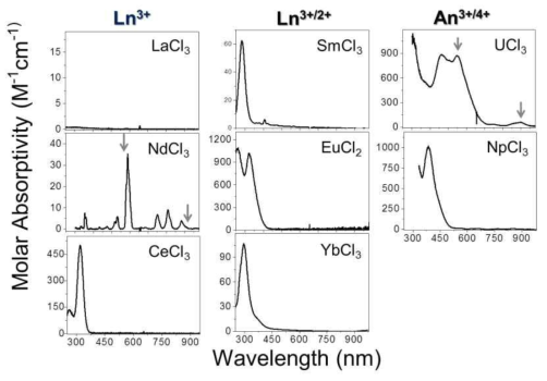 Molar absorptivity of lanthanides and actinides in LiCl-KCl at 450 ℃