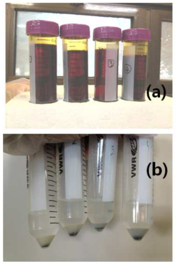 metallic (dissolved by Br2-ethylacetate) protion (a) and oxide (insoluble) portion (b).