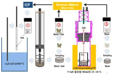 Schematic presentation of electrolytic reduction process and samples for analysis (1) opearation salt (2) reduced SIMFUEL, and (3) reduced sample after CP process