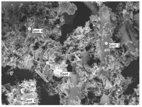 SEM image of the insoluble solid recovered from the dissolution of sample #4.