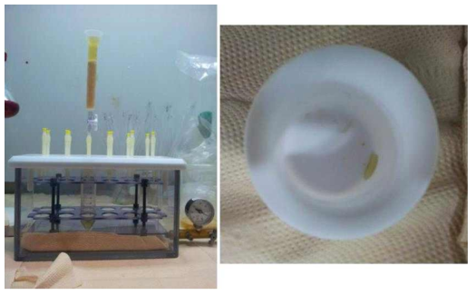 Photos of anion exchange chromatography of Np (left) and recovered Np (right).