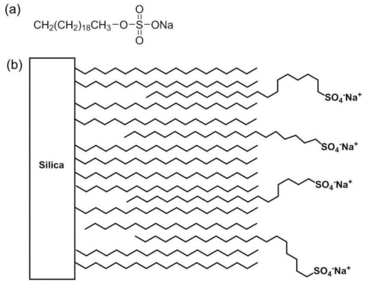 (a) Structure of sodium eicosyl sulfate and (b) hydrophobic interaction between C18 functionalized silica surface and sodium eicosyl sulfate