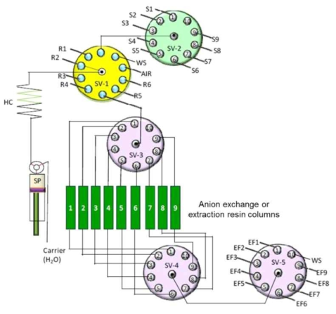 SI-networks assembled using extraction or anion exchange chromatography.