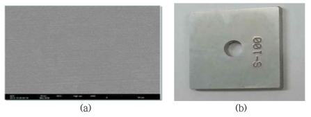 (a) SEM image of 304SS surface (X 500) after dissolution test and (b) photograph of 304SS specimen.