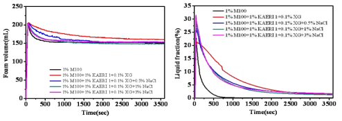 Variation of foam volume and liquid volume in foam of 1% EM100 with KAERI and 0.1% Xanthan gum.