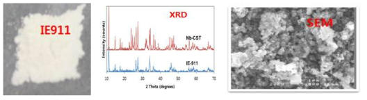 IE911의 기본 물성에 대한 XRD, SEM images.