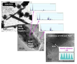 CHA-PCFC의 TEM-EDS 결과.