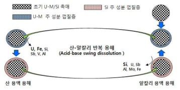 산-알칼리 순차 반복 용해 공정