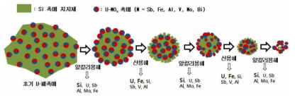 우라늄 복합 산화물 용해 과정 개념도