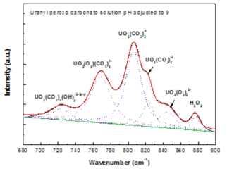 탄산염 용액계에서 다양한 우라늄 착물종의 Raman 피크 분리
