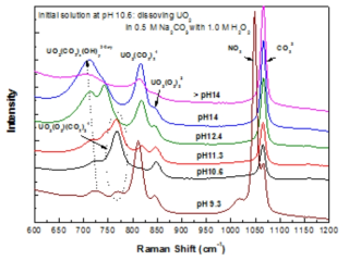 Na-U(VI)-CO3-OH-H2O2 용액계의 pH 변화에 따른 Raman 스펙트럼