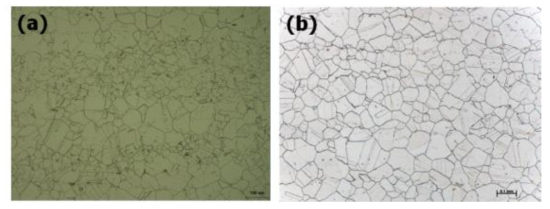Microstructure of (a) forged bar (heat no. 135264) and (b) hot-extruded pipe