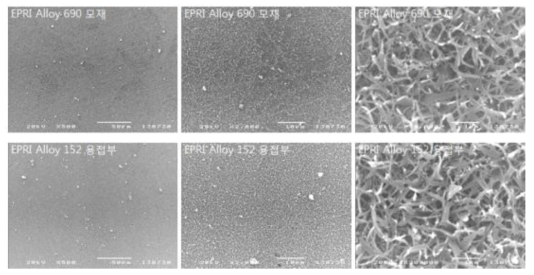 SEM images showing the surface oxides formed in the EPRI Alloy 690/152 weld.