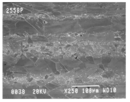 Banding microstructure of Alloy 690[2].