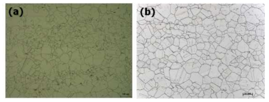 Microstructure of (a) forged bar (heat no. 135264) and (b) hot-extruded pipe (heat no. RF798)