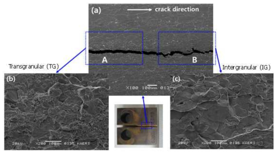 Fractographs of (a) cross-section of PWSCC crack, (b) cracked surface with TG mode, and (c) crack surface with IG model.