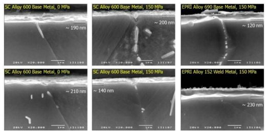 SEM cross sectional views of surface oxide layers on the Alloy 600/182 and Alloy 690/152 welds.