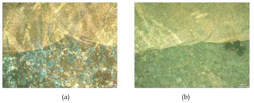 Surface images on the (a) EPRI Alloy 690/152 and (b) GA Alloy 690/152 taken after PWSCC test with a hydrogen concentration of 5 cc/kg H2O.