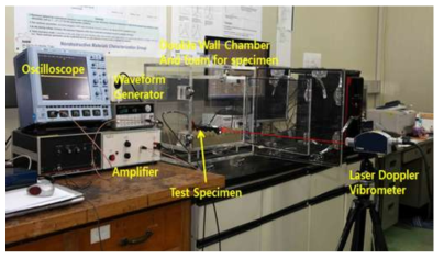 A setup for laser nonlinear resonant ultrasound spectroscopy.