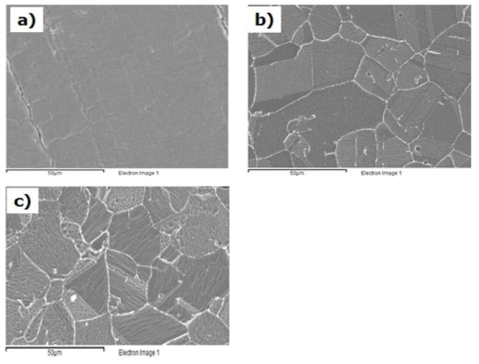 Cross-sectional SEM view of the Alloy 690 specimen before test:(a) surface, (b) radial direction, (c) axial direction.