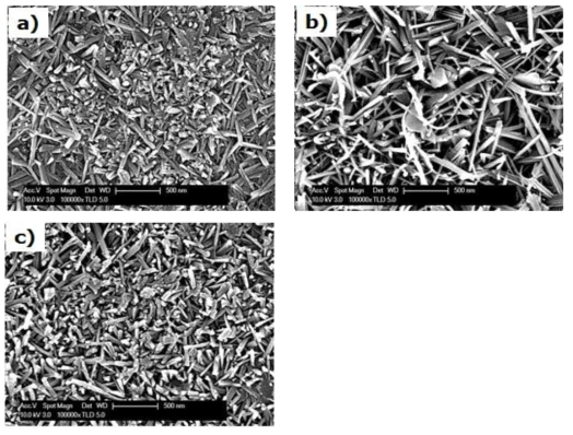 SEM morphologies of the oxide film formed on Alloy 690 immersed in different hydrogen concentrations: (a) 0 cc(STP)/kg, (b) 5 cc(STP)/kg, (c) 10 cc(STP)/kg.