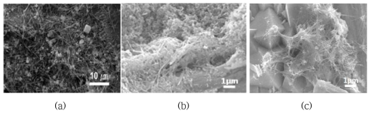 SEM images of cruds formed on fuel cladding surface: (a) a domestic nuclear power plant, (b) and (c) simulated loop in KAERI.