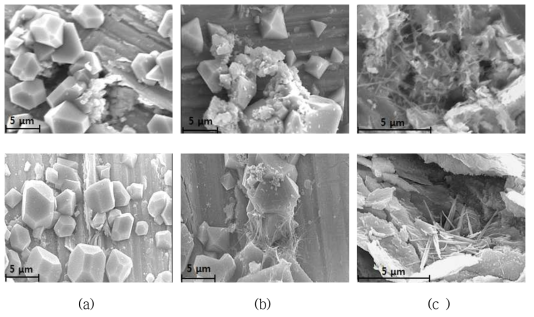 SEM photographs of corrosion products formed at Ni/Fe ion concentration of (a) Ni/Fe 20:20 ppm, (b) Ni/Fe 1:39 ppm and (c) Ni/Fe 39:1 ppm.