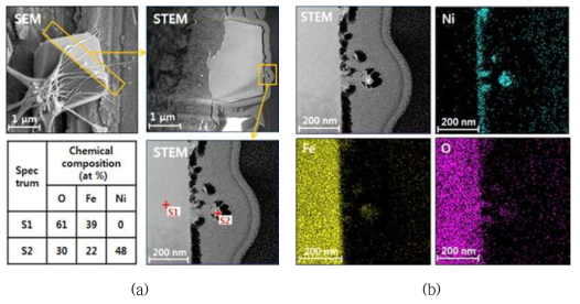 STEM-EDS analysis of (a) point and (b) elemental mapping on the needle and polyhedral oxide formed at Ni/Fe concentration ratio 1:39 ppm.