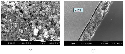 SEM images of crud formed on fuel cladding surface exposed to A4 solution under SNB condition.