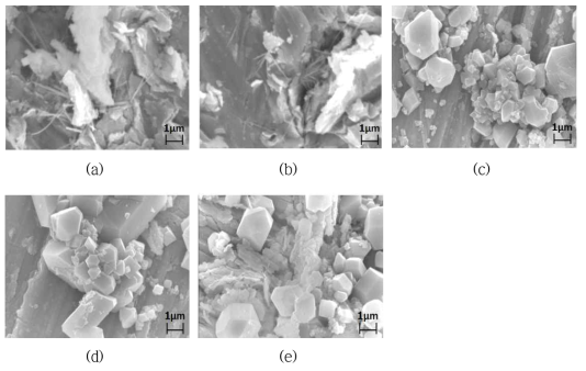 SEM photographs of corrosion products formed at a dissolved hydrogen concentration of (a) 5 cc/kg, (b) 25 cc/kg, (c) 35 cc/kg (d) 50 cc/kg, and (e) 70 cc/kg