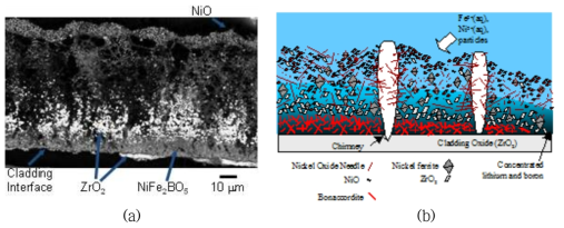 (a) Cross-sectional SEM image and (b) a schematic of crud sampled after cycle 9 of Callaway in US.