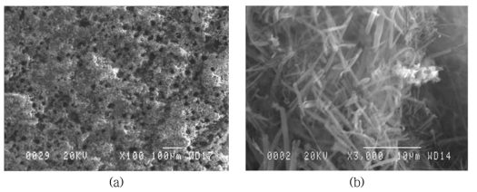 SEM images of porous crud obtained from Halden Reactor in (a) low and (b) high magnification.