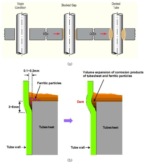 Schematics of denting phenomena at (a) a tube support plate and (b) top of tubesheet.