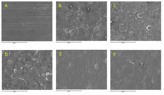 SEM photographs on the surface of Alloy 690 specimen before corrosion test. Specimen surface treatments are distinguished by (A) reference, SP at 1 bar with angle of (B) 30˚, (C) 45˚, (D) 90˚, and SP+EP with SP angle of (E) 45˚, (F) 90˚.